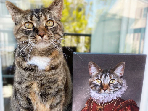 Crown and Paw custom pet portrait comparison creative