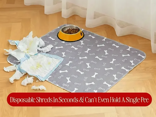 Reusable pet pee pad pain point comparison creative