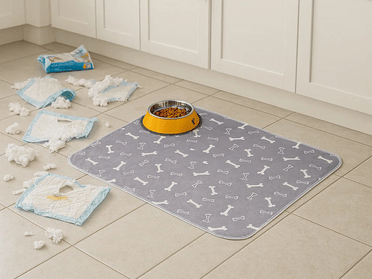 Pet pee pad pain point and solution landing page module
