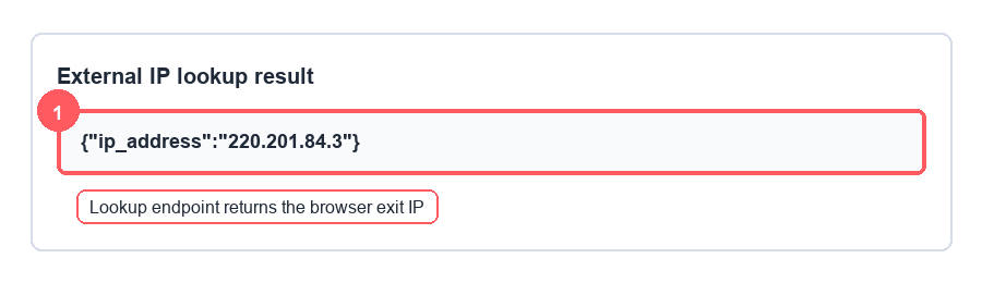External IP lookup result