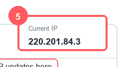 Zoomed Current IP display