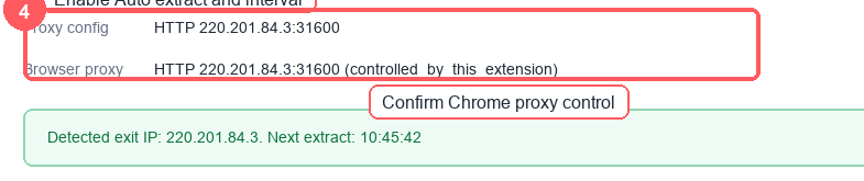 Zoomed proxy status details