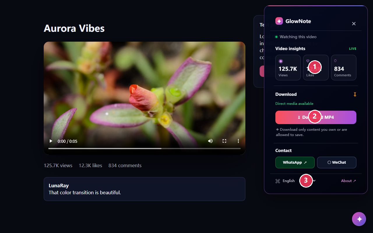 How to Use GlowNote: RedNote Video Downloader & Insights