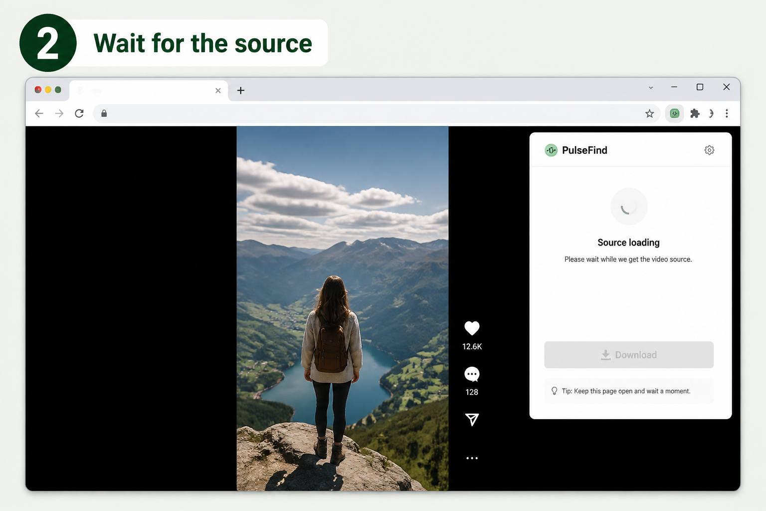 Step 2: Wait for the PulseFind video source to load